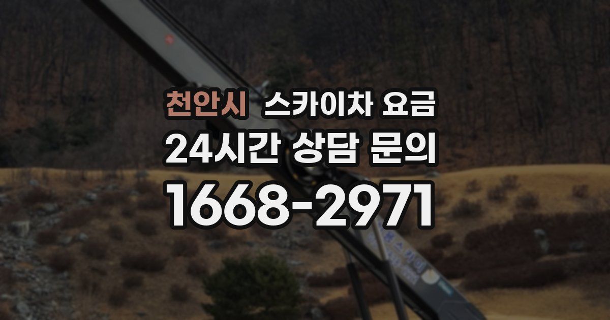 천안시 스카이차 요금