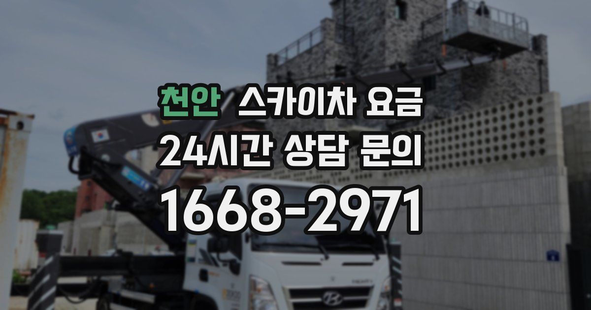 천안 스카이차 요금