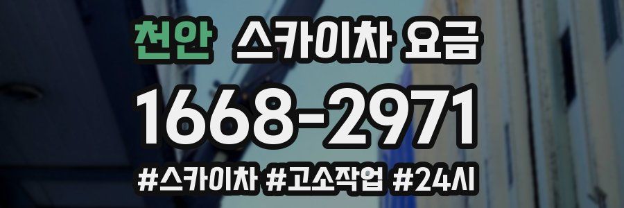 천안 스카이차 요금