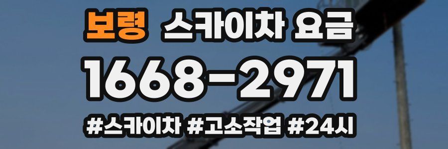 보령 스카이차 요금