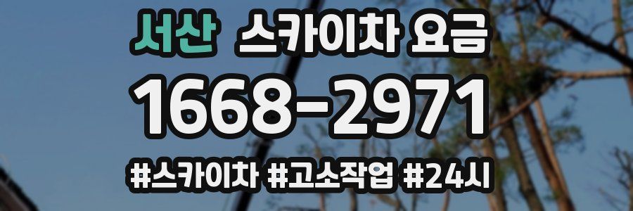 서산 스카이차 요금