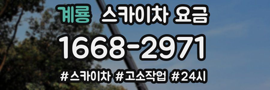 계룡 스카이차 요금