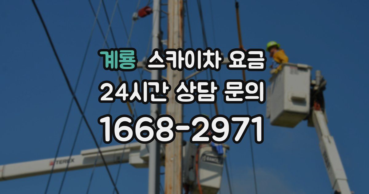 계룡 스카이차 요금