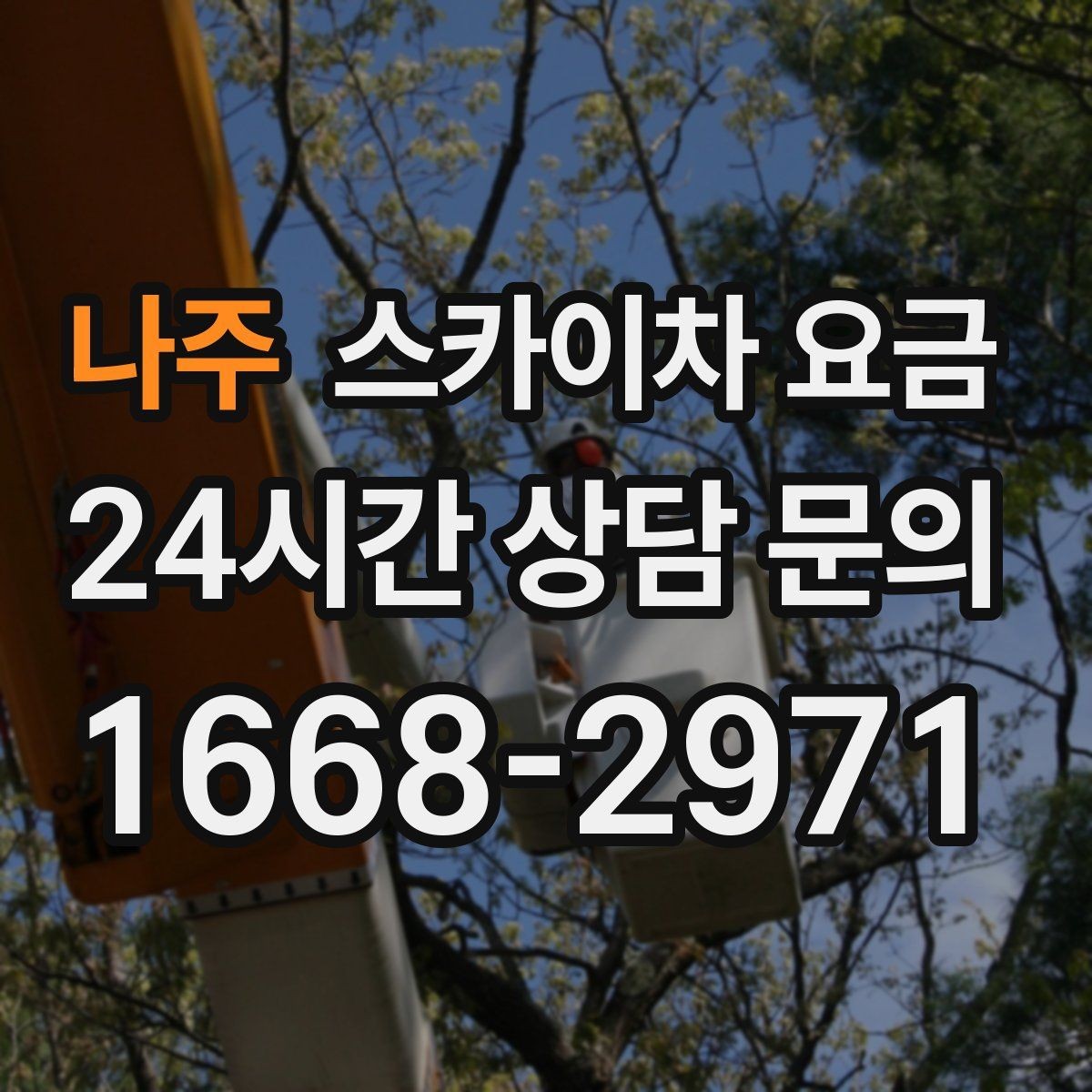 나주 스카이차 요금 조명 교체 작업에서 요금이 달라지는 이유