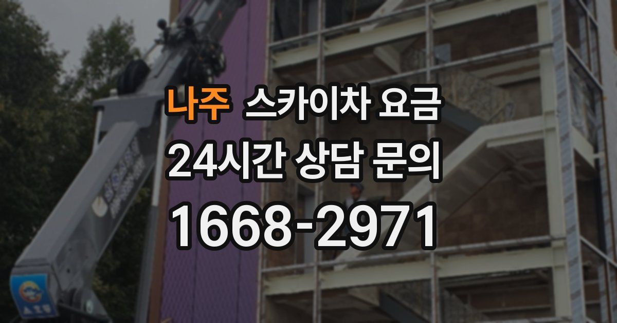 나주 스카이차 요금