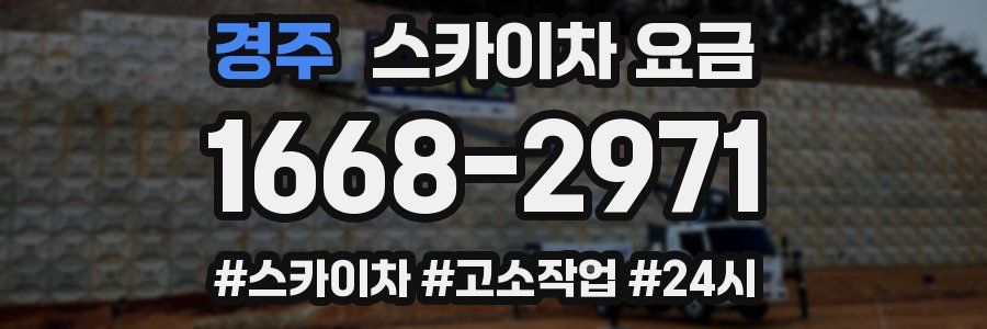 경주 스카이차 요금