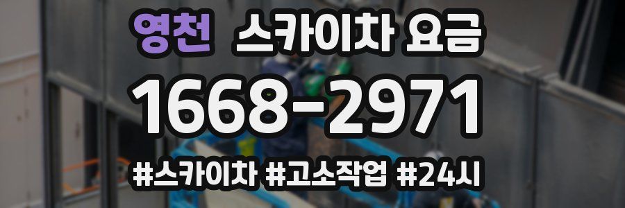 영천 스카이차 요금