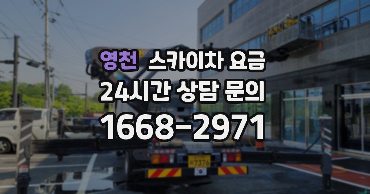 영천 스카이차 요금