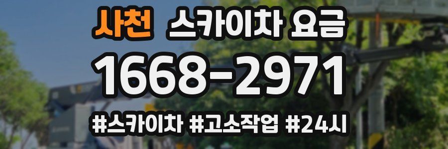 사천 스카이차 요금