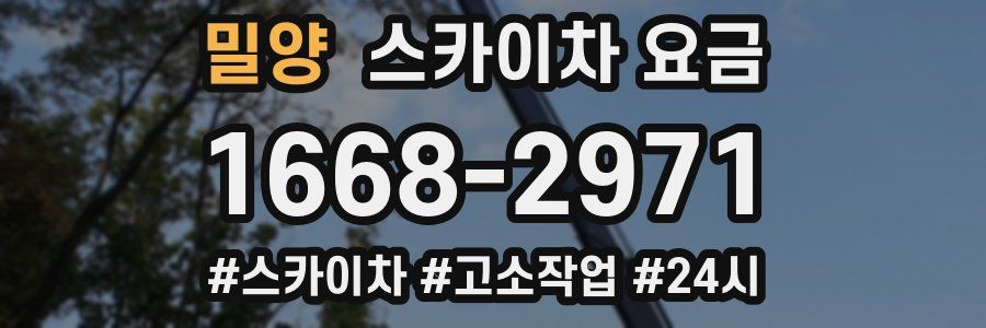 밀양 스카이차 요금
