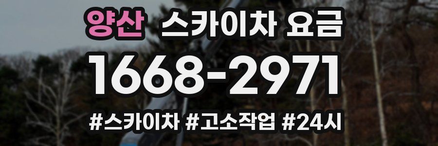 양산 스카이차 요금