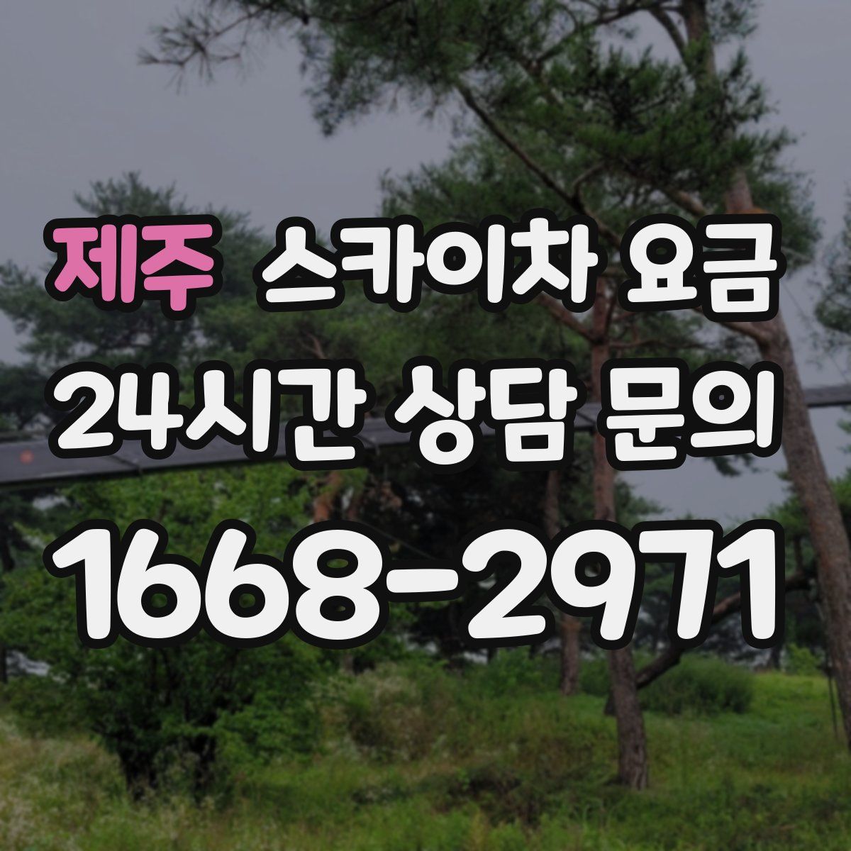 제주 스카이차 요금