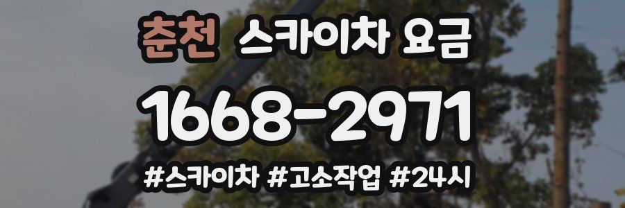 춘천 스카이차 요금