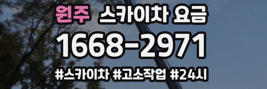 원주 스카이차 요금