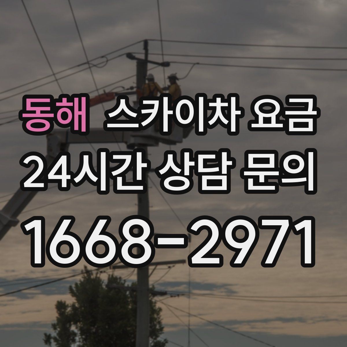 동해 스카이차 요금 대기가 길어지면 왜 비용이 달라질까