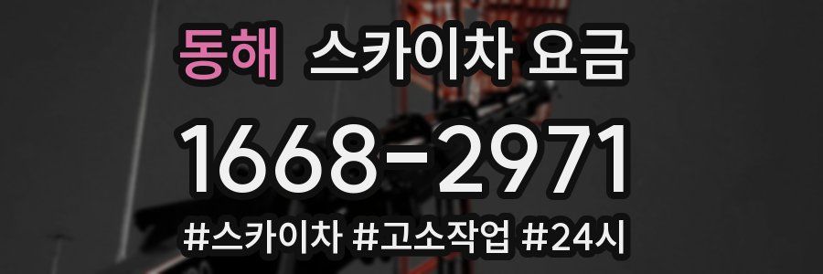 동해 스카이차 요금