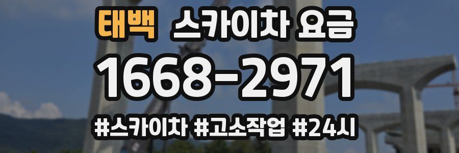 태백 스카이차 요금