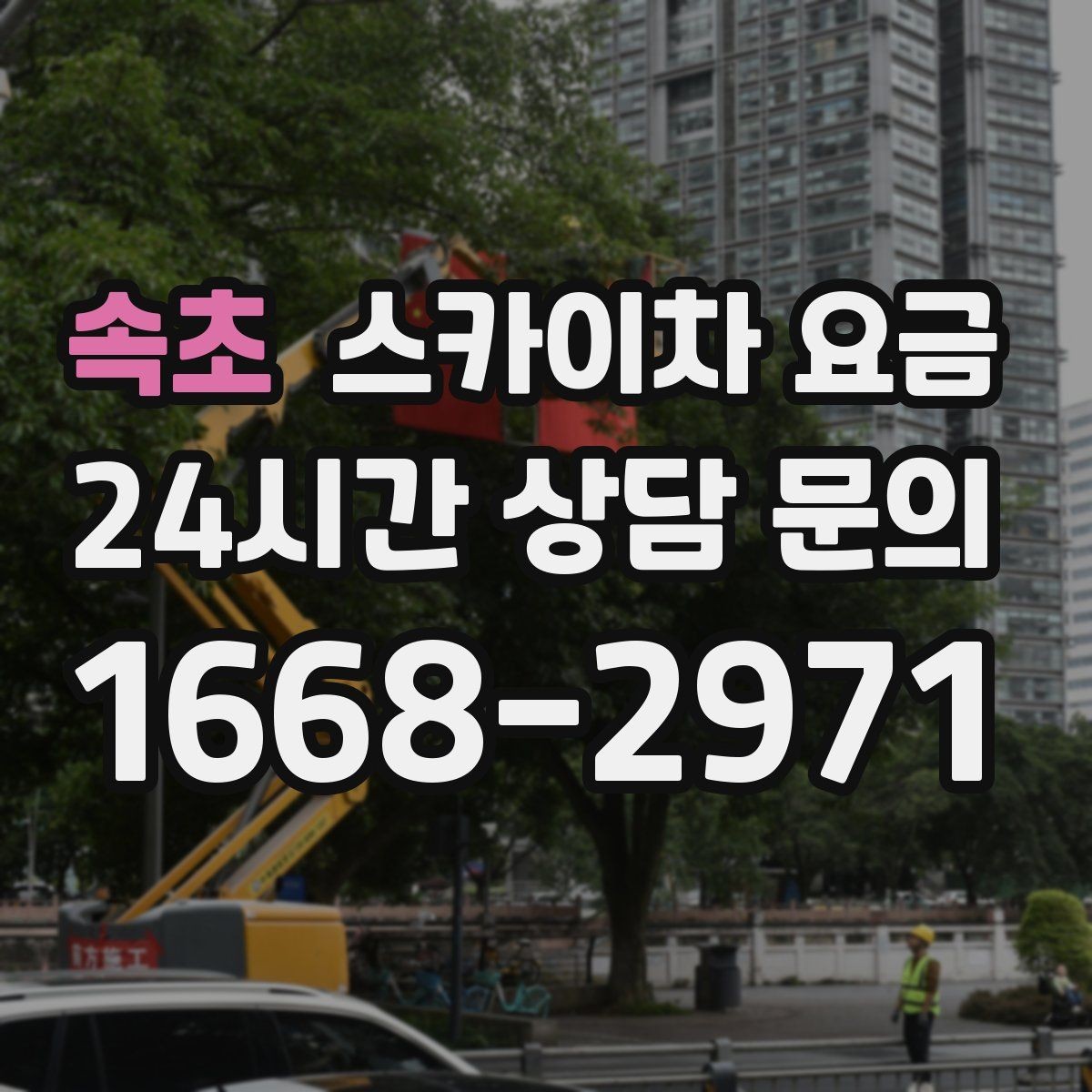 속초 스카이차 요금 '셋팅 후 바로 작업'이 중요한 이유