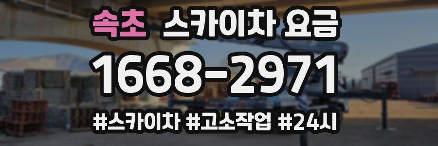 속초 스카이차 요금