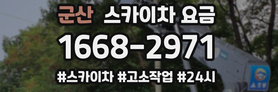 군산 스카이차 요금