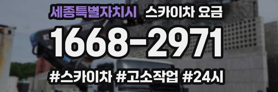 세종특별자치시 스카이차 요금