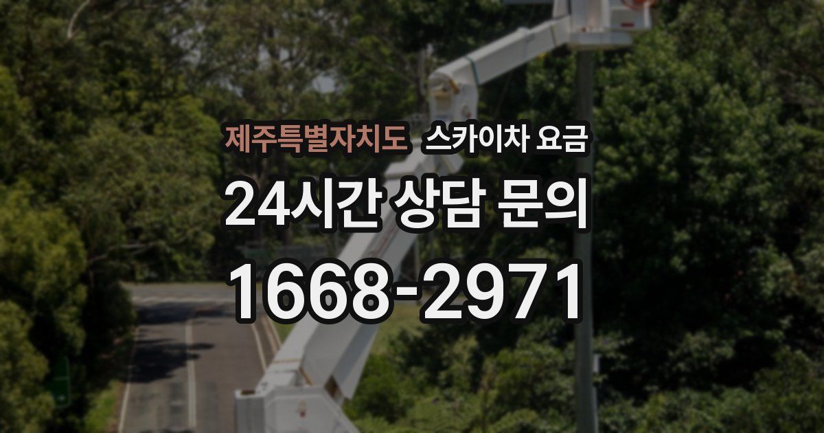 제주특별자치도 스카이차 요금