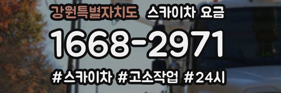 강원특별자치도 스카이차 요금