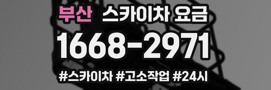 부산 스카이차 요금