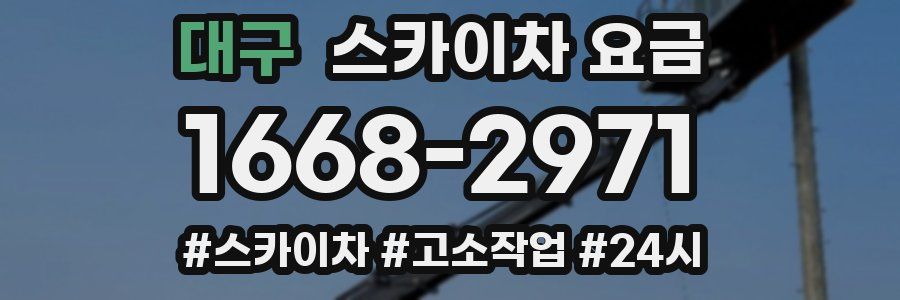 대구 스카이차 요금