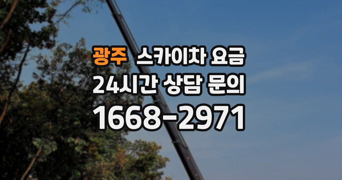 광주 스카이차 요금