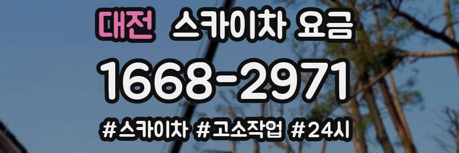 대전 스카이차 요금