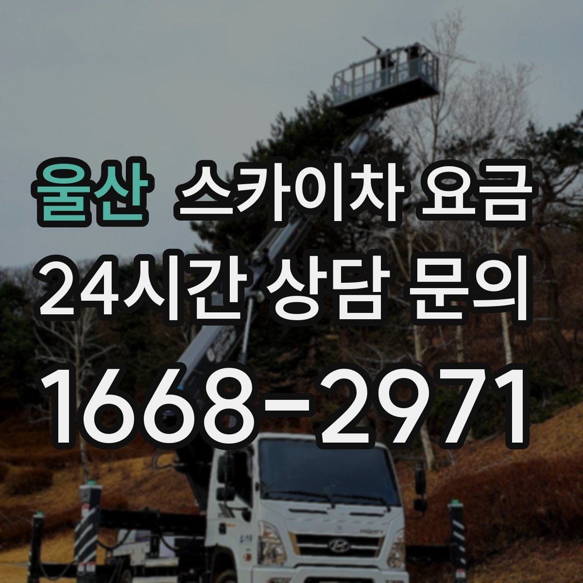 울산 스카이차 요금