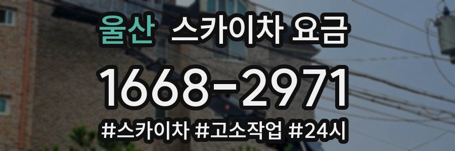 울산 스카이차 요금