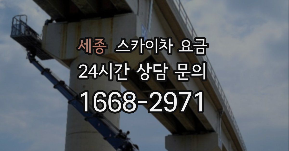 세종 스카이차 요금