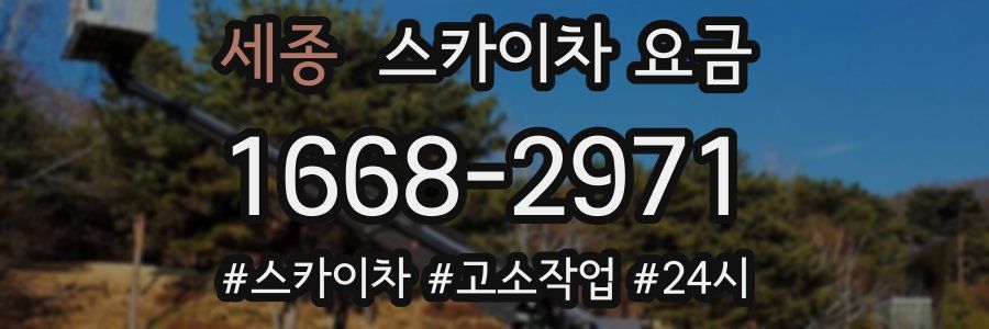 세종 스카이차 요금