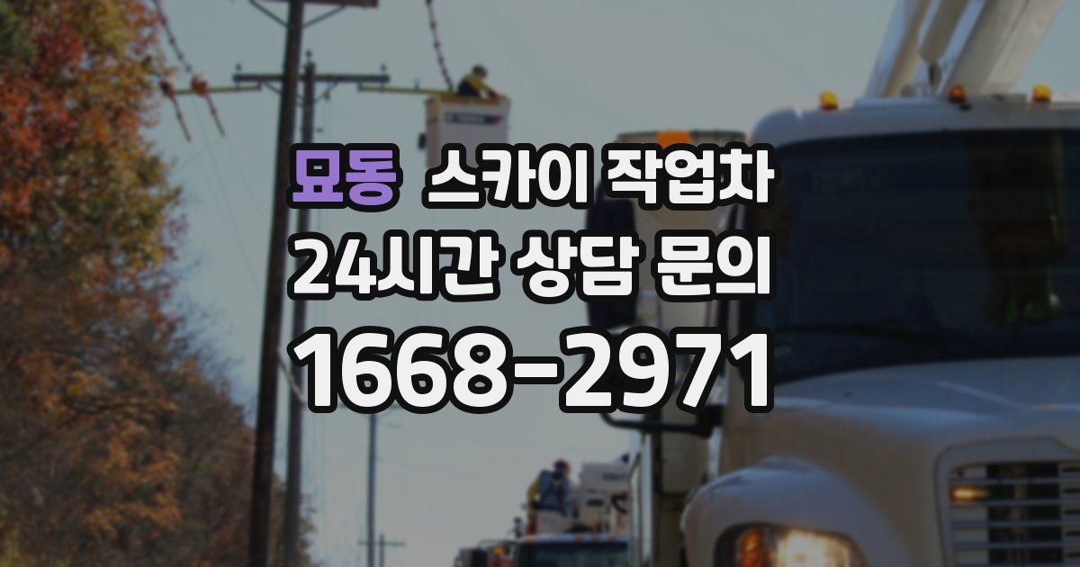 묘동 스카이 작업차