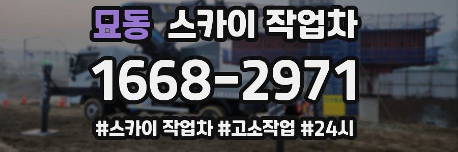 묘동 스카이 작업차