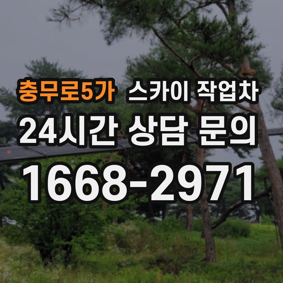 충무로5가 스카이 작업차 작업 비용이 달라지는 요소 쉽게 정리