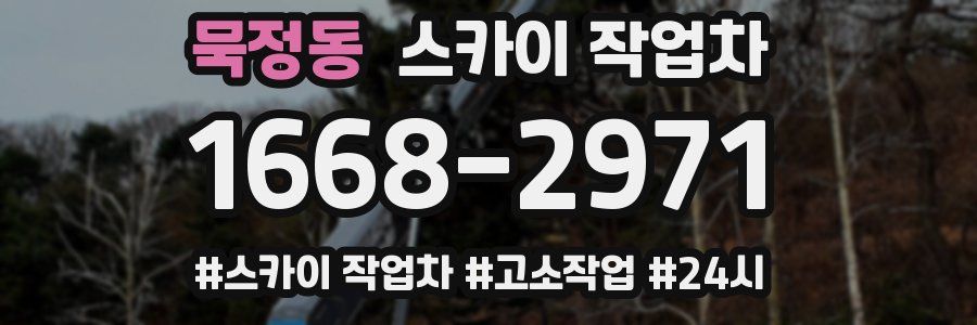 묵정동 스카이 작업차