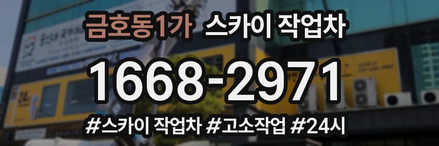 금호동1가 스카이 작업차