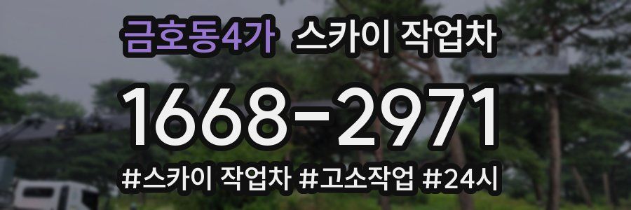 금호동4가 스카이 작업차