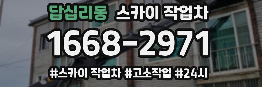 답십리동 스카이 작업차