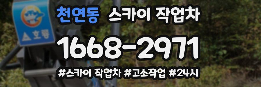 천연동 스카이 작업차