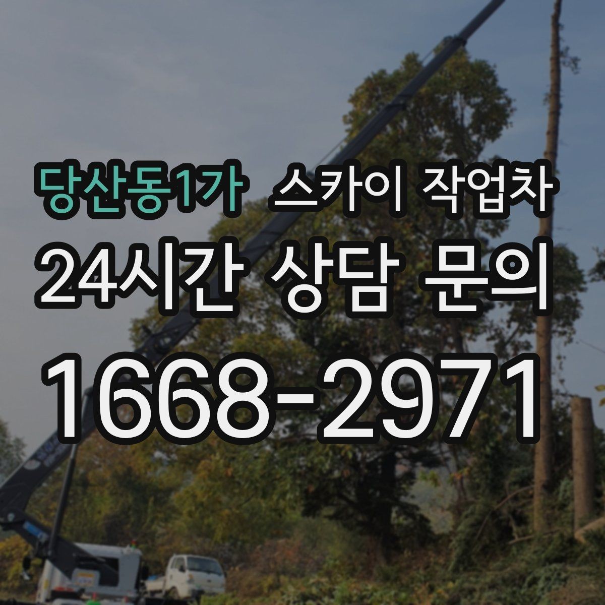 당산동1가 스카이 작업차 전봇대 인접 현장 안전 거리 확보