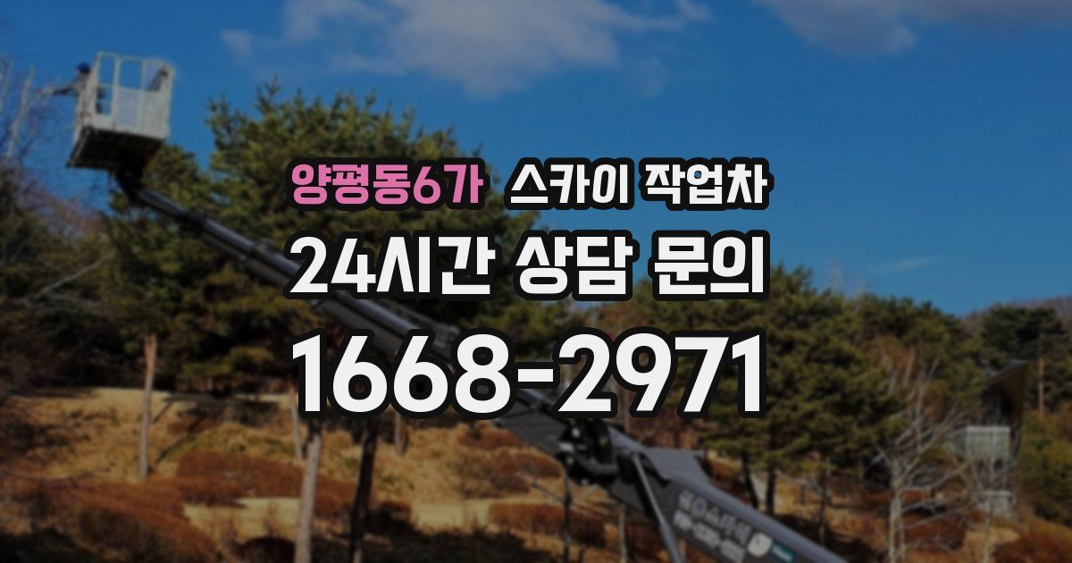 양평동6가 스카이 작업차
