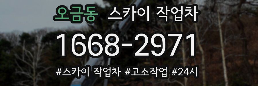 오금동 스카이 작업차