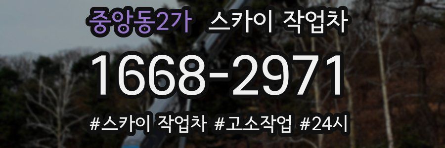 중앙동2가 스카이 작업차