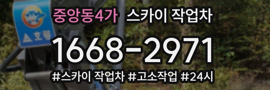 중앙동4가 스카이 작업차