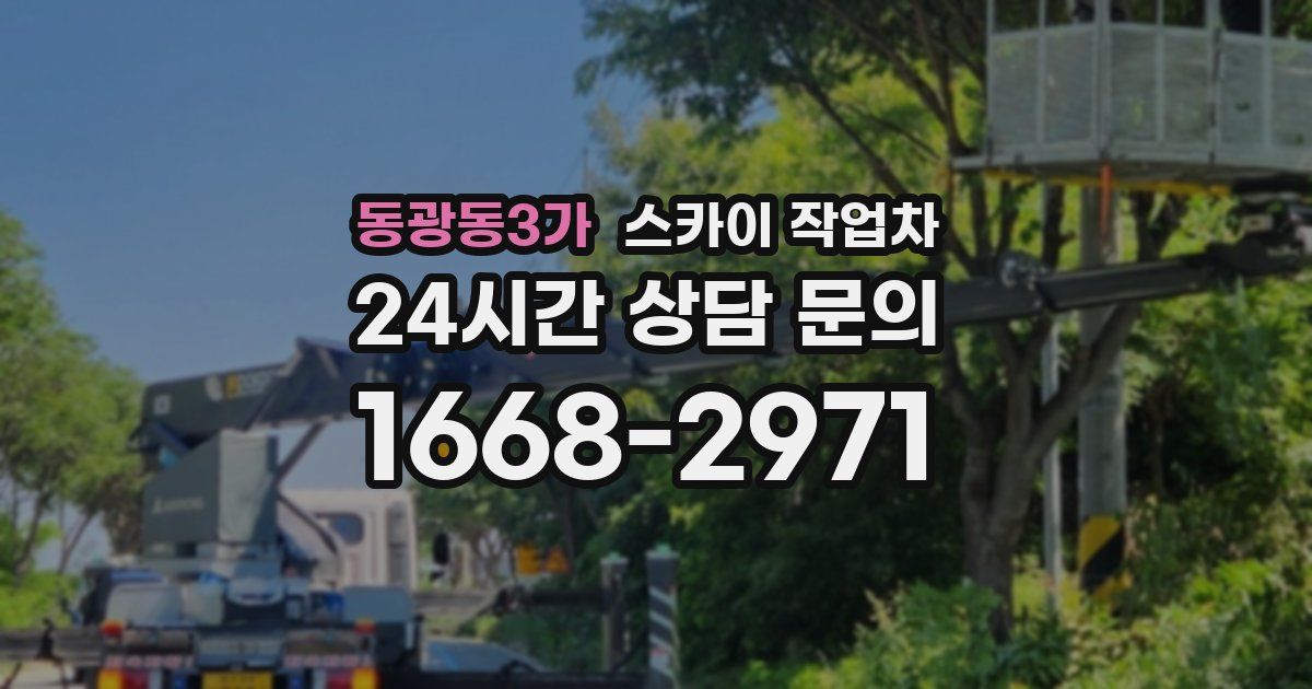동광동3가 스카이 작업차
