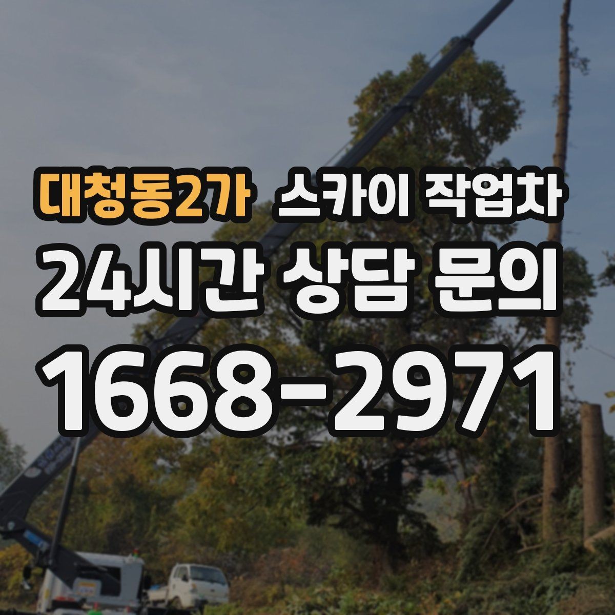 대청동2가 스카이 작업차 외벽 조류 배설물 청소 작업 진행